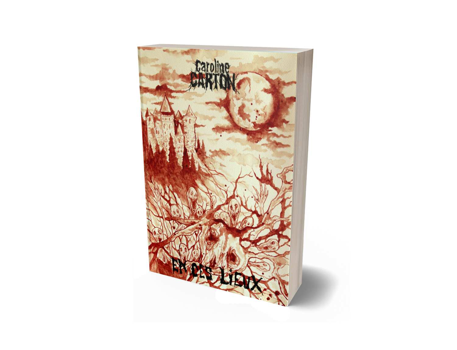 En Ces Lieux : le roman ** Baluchon PARA BELLUM ** – Image 2